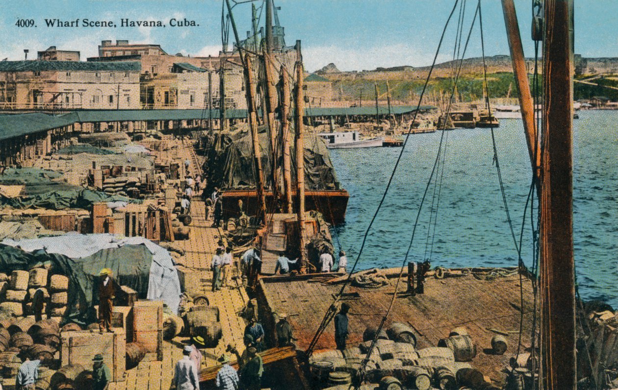 مشهد وارف ، هافانا ، كوبا ، 1910 بواسطة هاريس بروس وشركاه