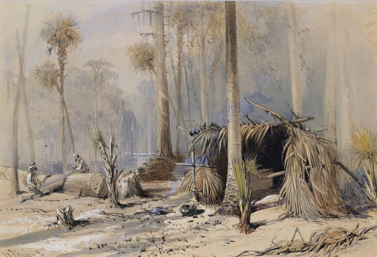 The Cypress-Shingle Yard ، نهر Ocklawaha ، فلوريدا ، 1870. بواسطة هاري فين