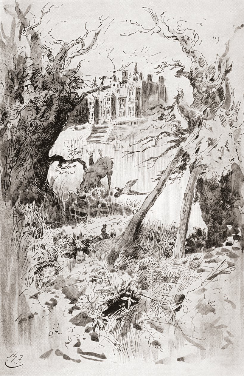 منزل كئيب. رسم توضيحي لهاري فورنيس لرواية تشارلز ديكنز Bleak House ، من The Testimonial Edition ، التي نُشرت عام 1910. بواسطة هاري فورنيس