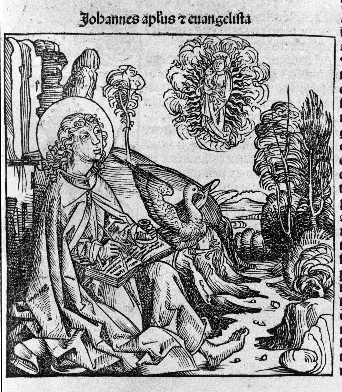 تمثيل القديس يوحنا الإنجيلي. نقش من "ليبر مزمنارم" (سجلات نورمبرغ) لهارتمان شيدل 1493 بواسطة هارتمان شيدل