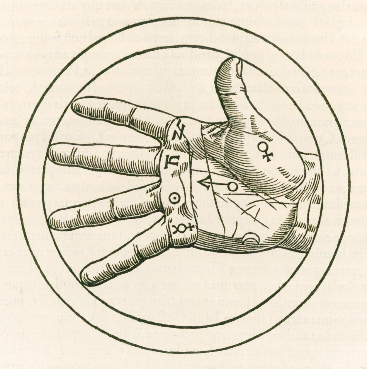 يد نقش قراءة الكف من هاينريش كورنيليوس أغريبا فون نيتسهايم (1486-1535) De occulta Philosophia libri tres (ثلاثة كتب من فلسفة غامضة) نشرت في عام 1533. بواسطة هاينريش كورنيليوس أغريبا من نيتسهايم