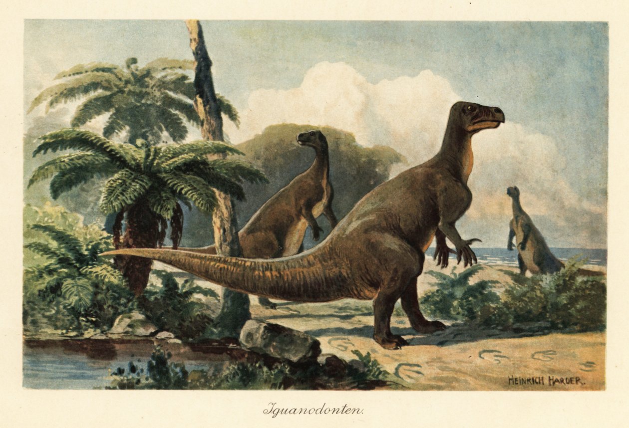 Iguanodon bernissartensis في غابة سرخس ما قبل التاريخ. بواسطة هنري هاردر