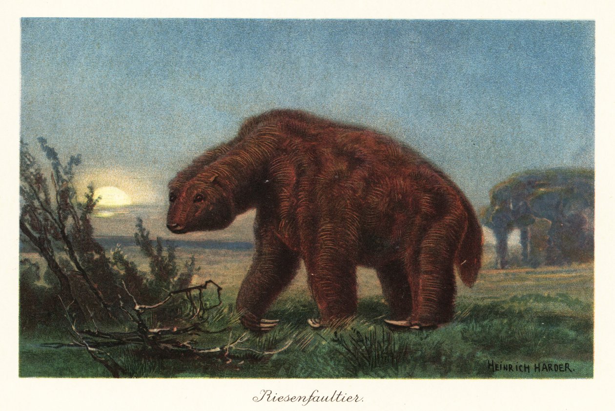 Megatherium americanum في ضوء القمر. بواسطة هنري هاردر