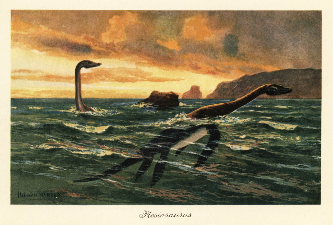 Plesiosaurus dolichodeirus في المحيط. بواسطة هنري هاردر