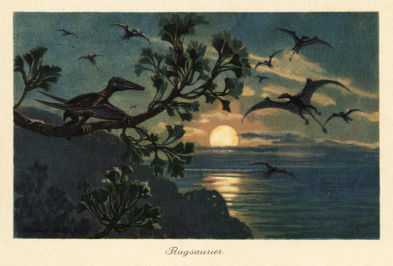 Rhamphorhynchus التيروصورات تحلق في ضوء القمر. بواسطة هنري هاردر