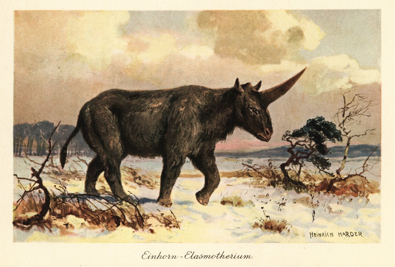 وحيد القرن السيبيري ، Elasmotherium sibiricum ، على سهل ثلجي. بواسطة هنري هاردر