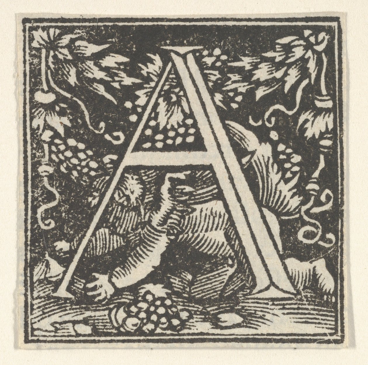 الحرف الأولي A مع putto ، ca. 1538. بواسطة هاينريش فوجثيرر