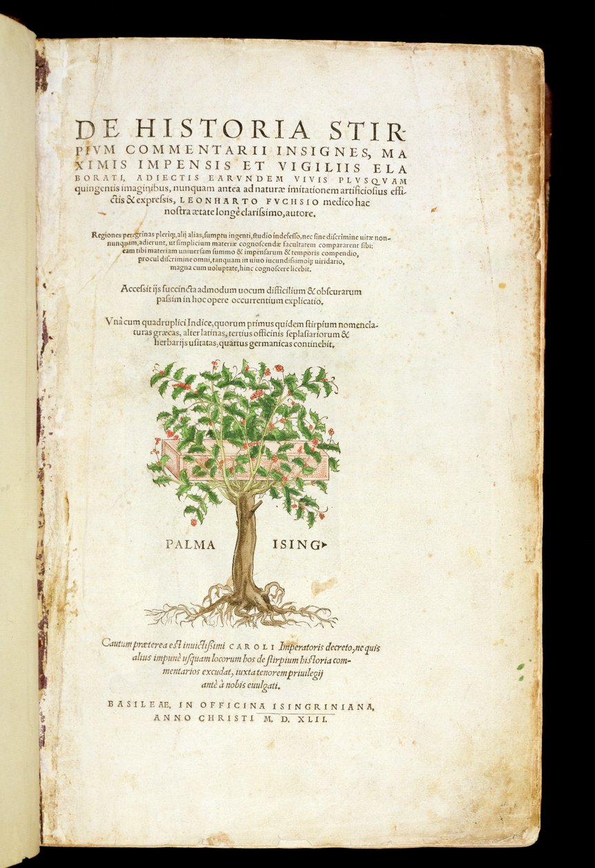 صفحة العنوان من "De Historia Stirpium Commentarii Insignes" ، بقلم ليونارد فوشس (1501-66) ، منقوش بواسطة رودولف سبيكل (ت 1550) ، تم نشره عام 1542 بواسطة هاينريش وماير ، ألبرت فولمورير