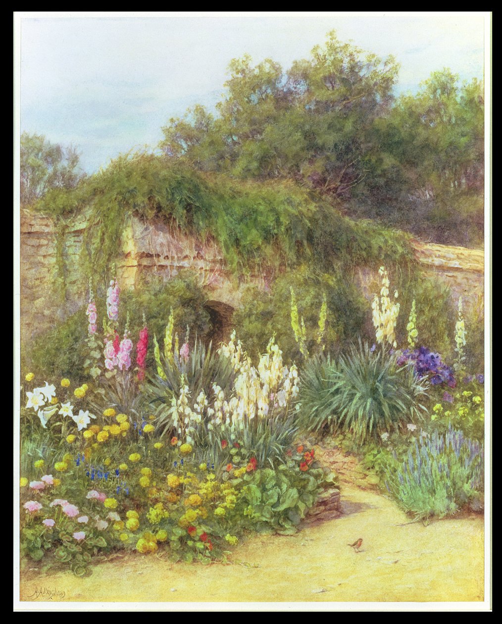 في Munstead Wood Garden ، حديقة Gertrude Jekyll ، Godalming ، Surrey (قلم رصاص ومرحاض على الورق) بواسطة هيلين ألينجهام