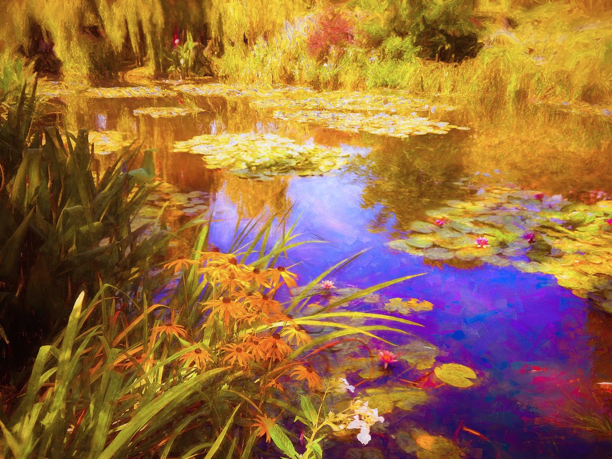 Giverny Waterlilies ، 2019 ، بواسطة هيلين وايت