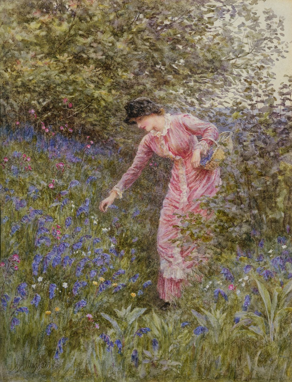 جمع Bluebells (مرحاض مع لون الجسم على الورق) بواسطة هيلين ألينجهام