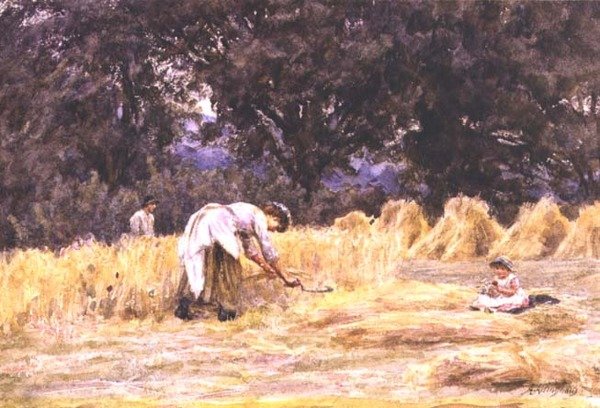 حصاد بواسطة هيلين ألينجهام