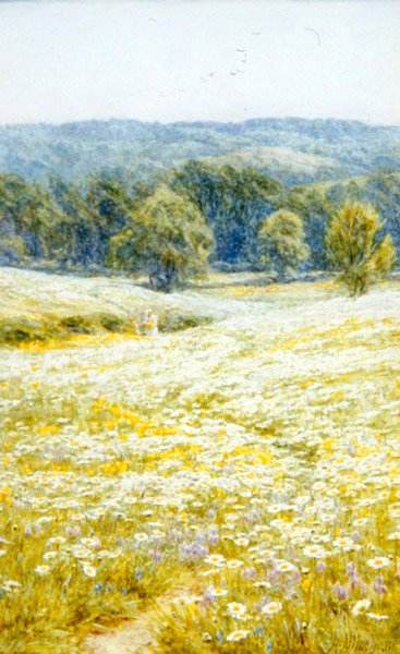 Oxeye Daisies ، بالقرب من ويسترهام ، كنت (ألوان مائية على ورق) بواسطة هيلين ألينجهام