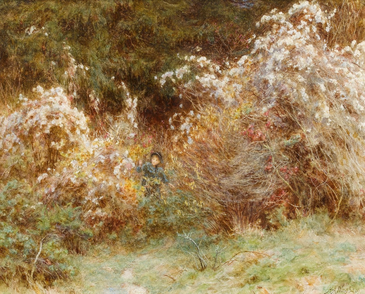 فرحة المسافرين: Surrey Hedgerow (مرحاض على ورق) بواسطة هيلين ألينجهام
