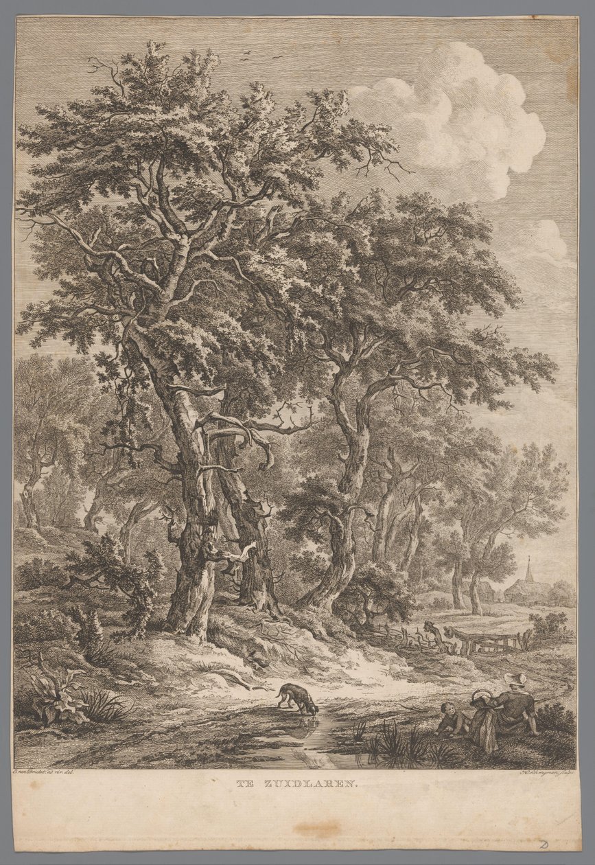 المناظر الطبيعية بالقرب من Zuidlaren في Zuidlaren (العنوان على الكائن) تسعة وجوه في درينثي (عنوان المسلسل) IX Views في وبالقرب من مناظر درينثي (عنوان المسلسل) بواسطة هنريك شويجمان