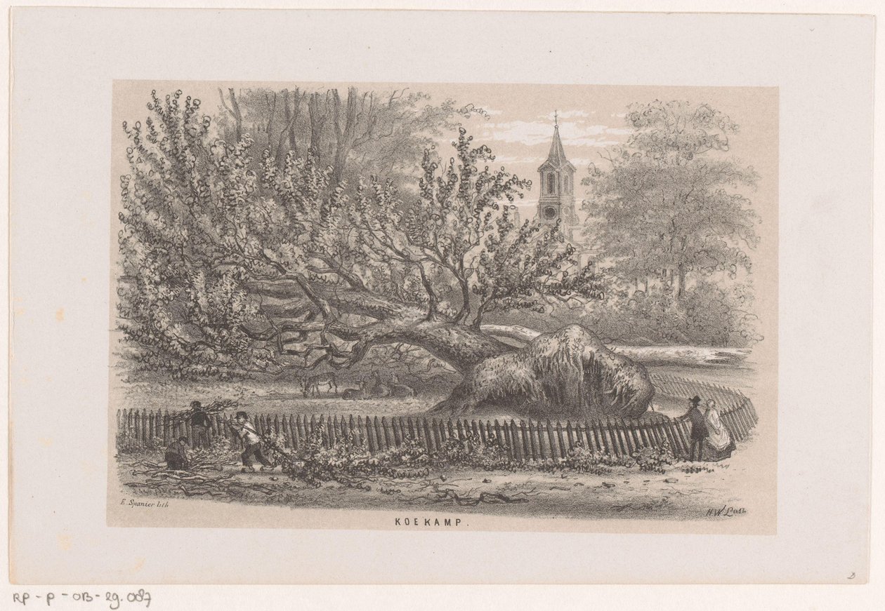 شجرة سقطت بالقرب من كويكامب ، بعد عاصفة 28 مايو 1860 Koekamp (العنوان على الكائن) ألبوم لعشرة رسومات مطبوعة بالحجر ، تصور Toneeelen van de Verwoesting ، المتضررة من عاصفة 28 مايو 1860 في Gravenhaagsche Bosch ، في Sche بواسطة هندريك فيلهلموس الأخير