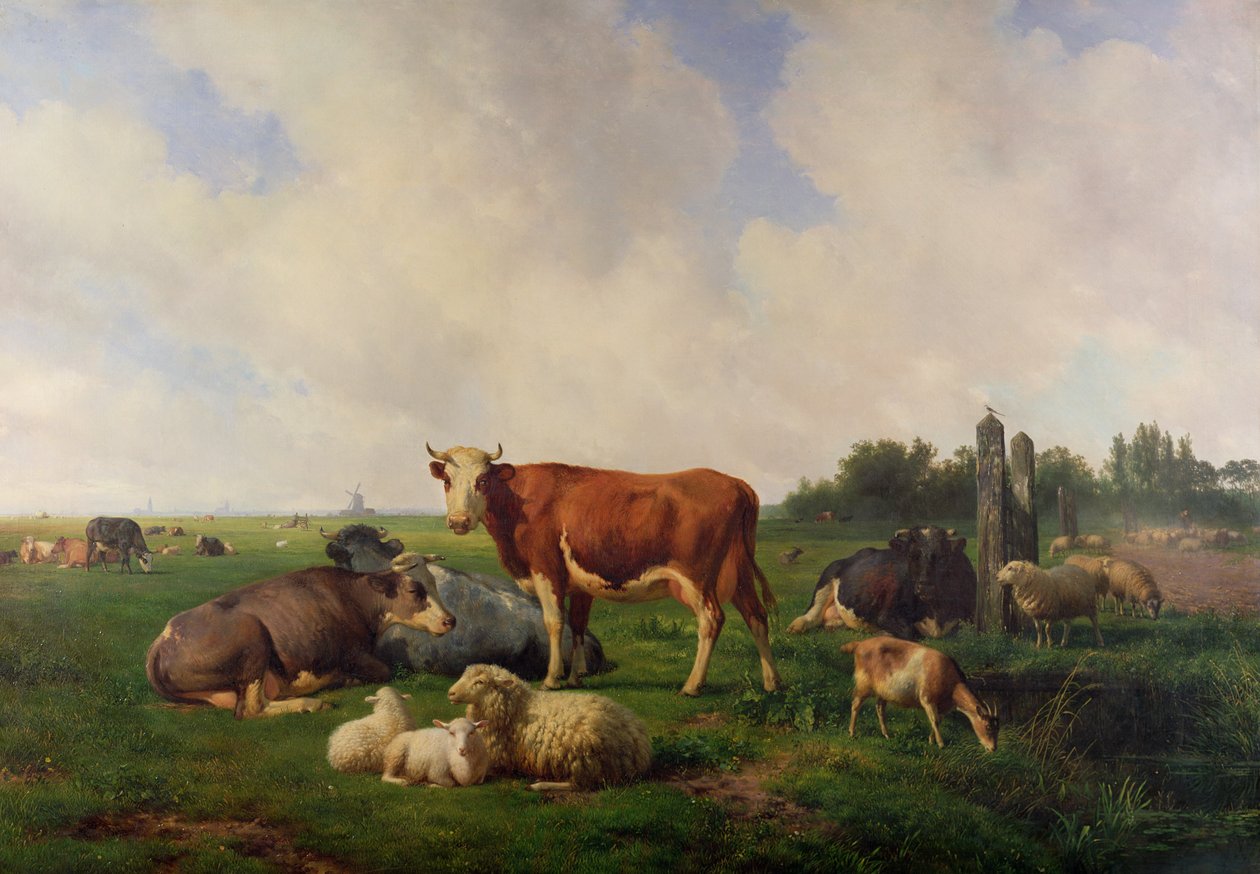 رعي الحيوانات في مرج بواسطة Hendrikus van de Sende Baachyssun