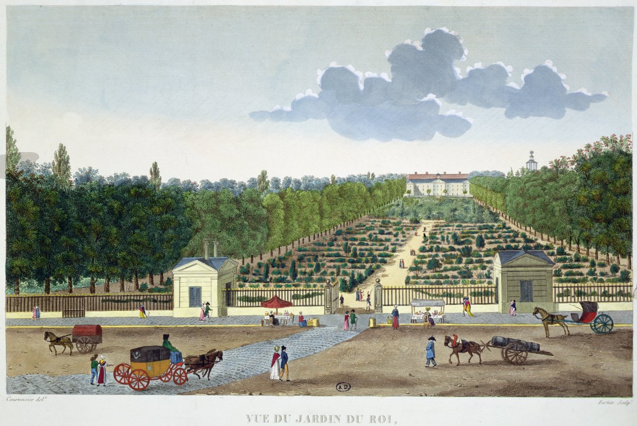 منظر ل Jardin du Roi في باريس من جسر أوسترليتز ، نقش بواسطة كلود فورتييه (1775-1835) (نقش ملون) بواسطة هنري (بعد) Courvoisier Voisin