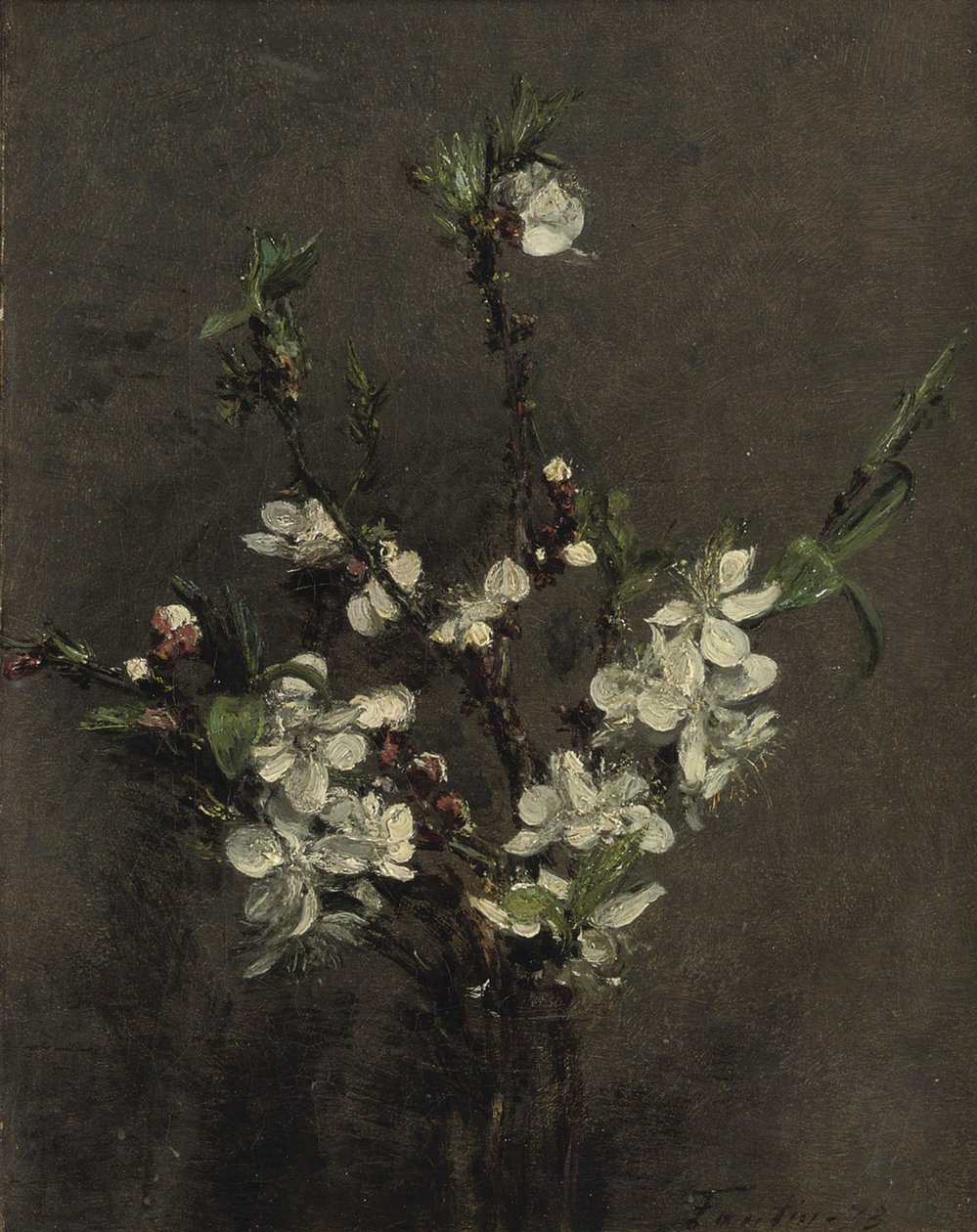 زهور شجرة الفاكهة بواسطة Ignace Henri Jean Fantin Latour