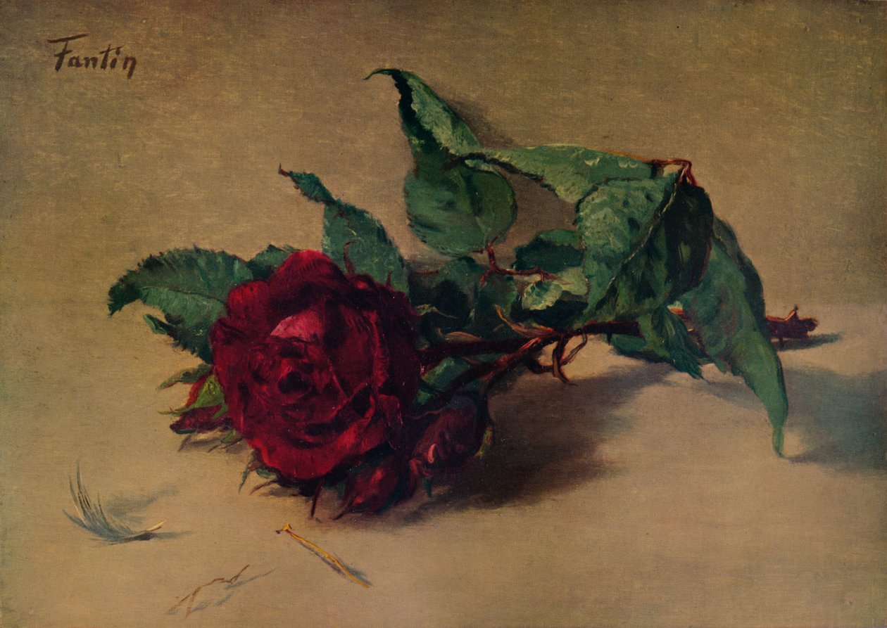 وردة حمراء ، c1864 ، 1938 بواسطة Ignace Henri Jean Fantin Latour