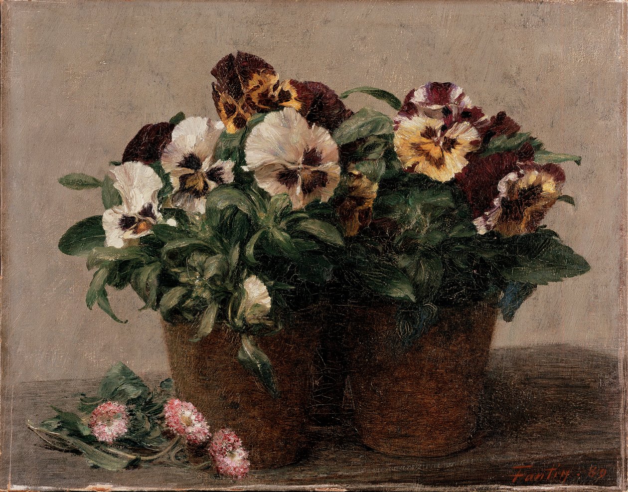 لا تزال الحياة: زهور الأقحوان والزهور ، 1880 بواسطة Ignace Henri Jean Fantin Latour