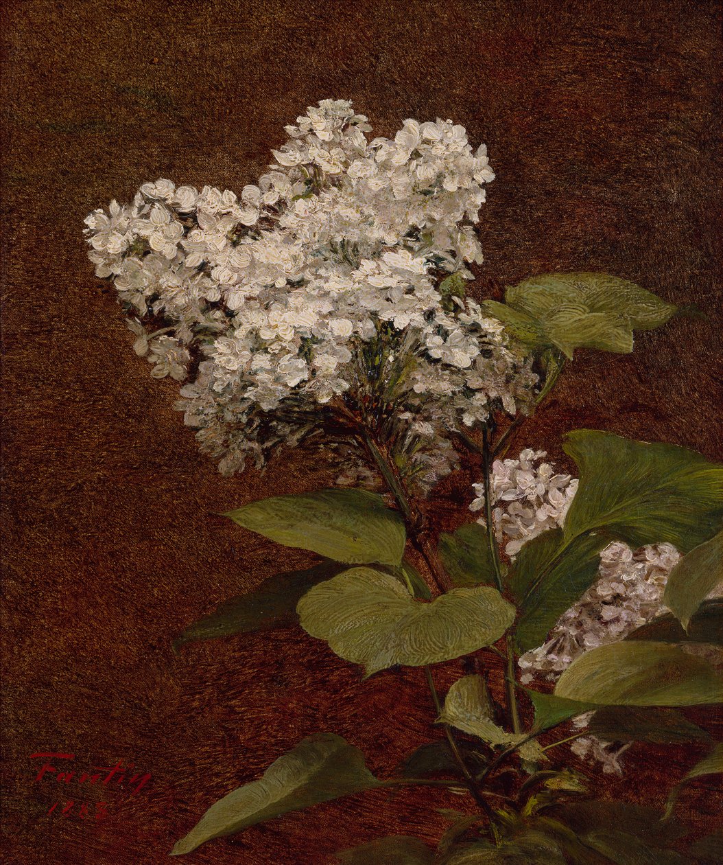 ليلك أبيض بواسطة Ignace Henri Jean Fantin Latour