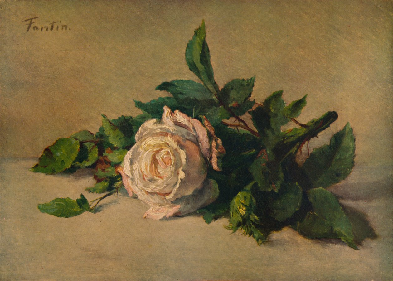الوردة البيضاء ، c1863 ، 1938 بواسطة Ignace Henri Jean Fantin Latour