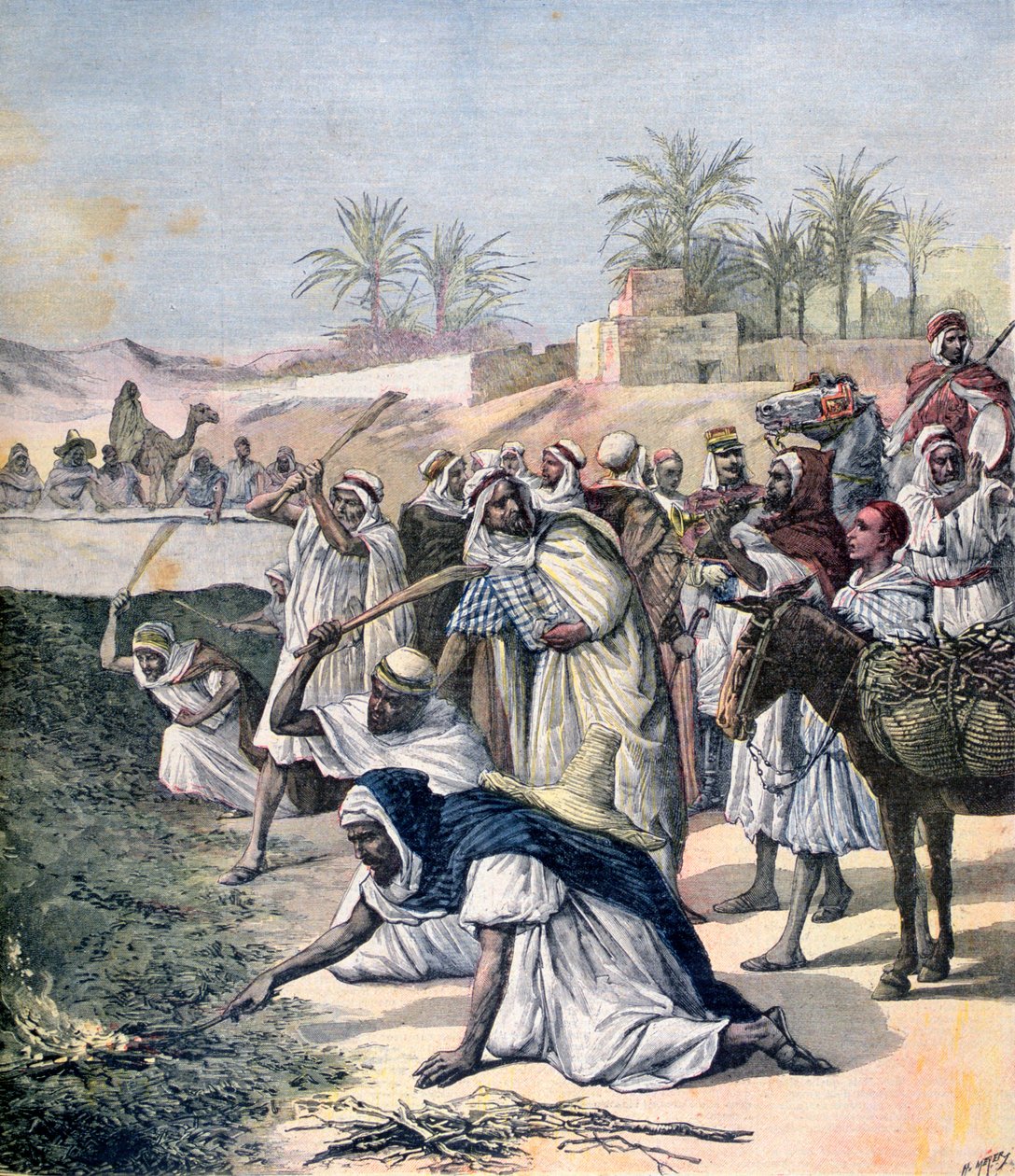 طاعون الجراد ، الجزائر ، 1891 بواسطة هنري ماير