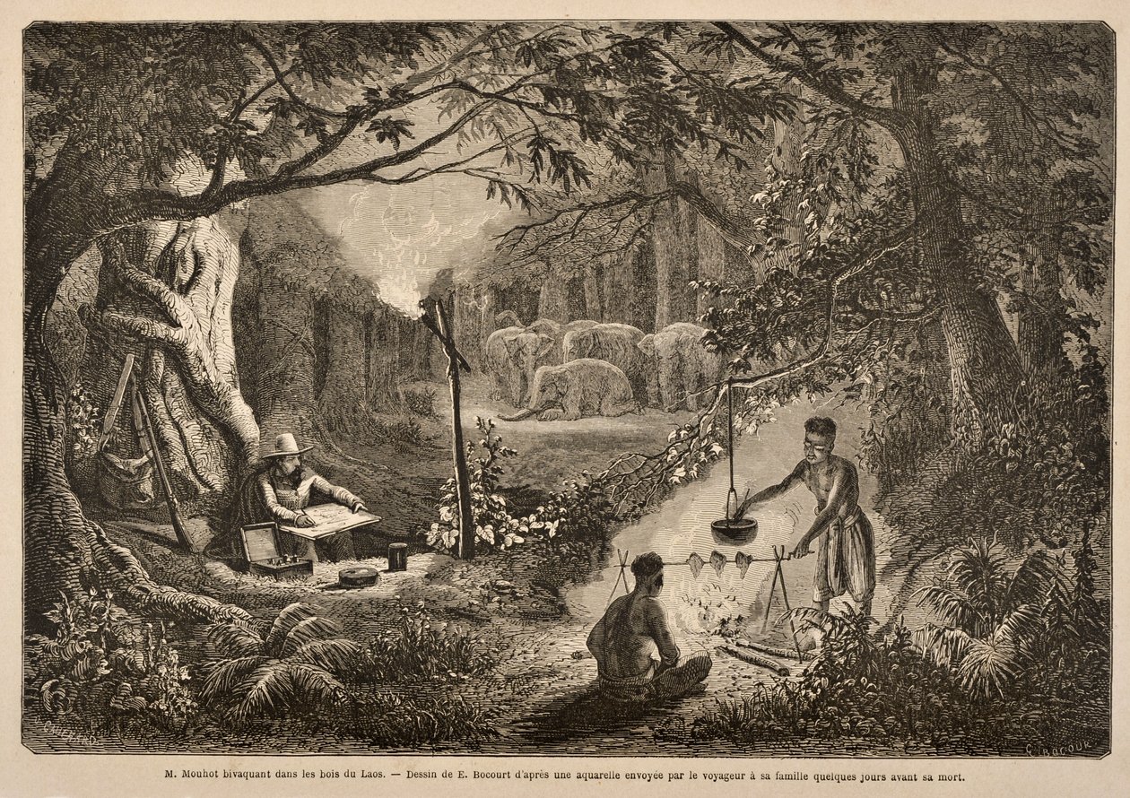 Henri Mouhot Camping in Jungles of Laos ، رسم توضيحي من "رحلات في الأجزاء الوسطى من الهند الصينية (سيام) وكمبوديا ولاوس خلال الأعوام 1858 و 1859 و 1860" بقلم م. هنري مووت بواسطة هنري موهوت