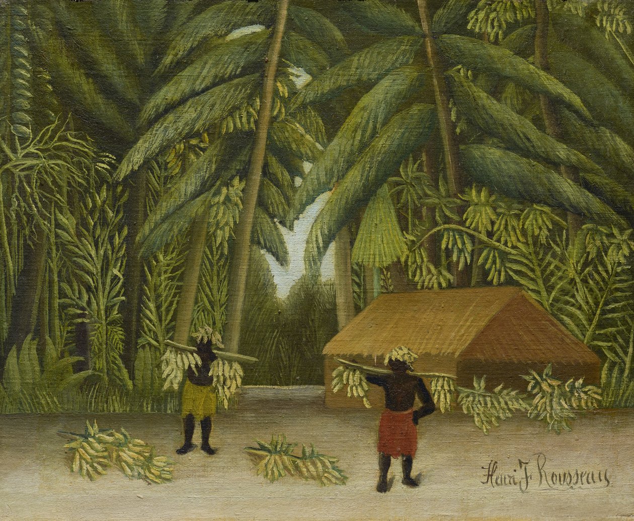 حصاد الموز ، 1907-10 بواسطة هنري روسو