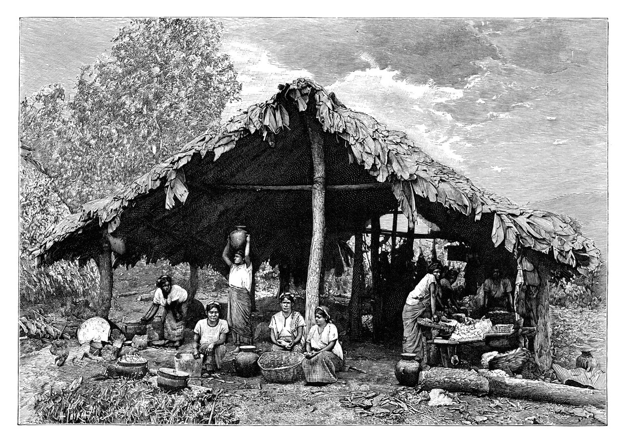 المرأة الهندية في الأراضي الساخنة على منحدر المحيط الهادئ ، أمريكا الوسطى ، c1890 بواسطة هنري تيريات