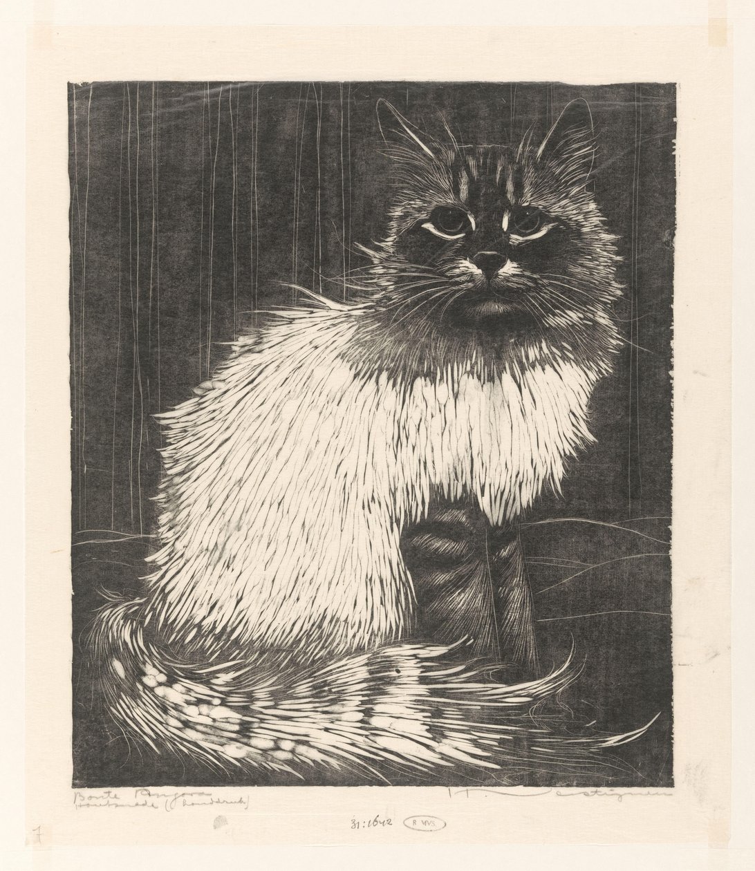 Bonte Angora (العنوان الأصلي على الكائن) بواسطة Henri Verstijnen (توقيع الفنان)