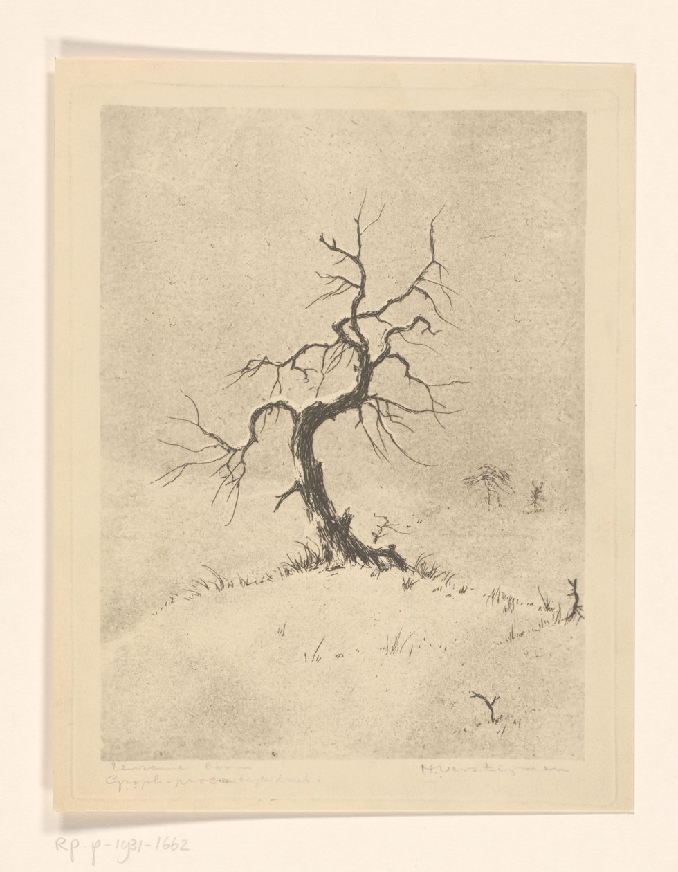Lonely Tree (العنوان الأصلي على الكائن) بواسطة Henri Verstijnen (توقيع الفنان)