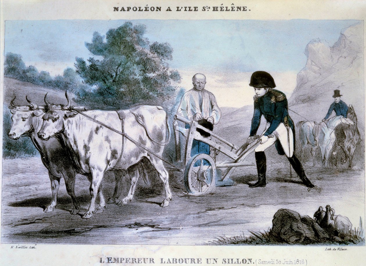 Napoleon I (1769-1821) a Saint Helene: the emperor plows a furrow (30/06/1816) Lithography of Villain. 1816 Ile d