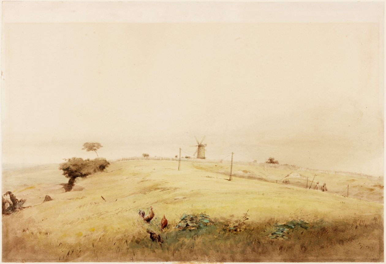 واحد من Aggers of the Vallum ، في الجزء العلوي من طريق Westgate ، Newcastle ، كما ظهر في عام 1848 (قلم رصاص وألوان مائية على ورق (تم لصقها على البطاقة) بواسطة هنري بوردون ريتشاردسون