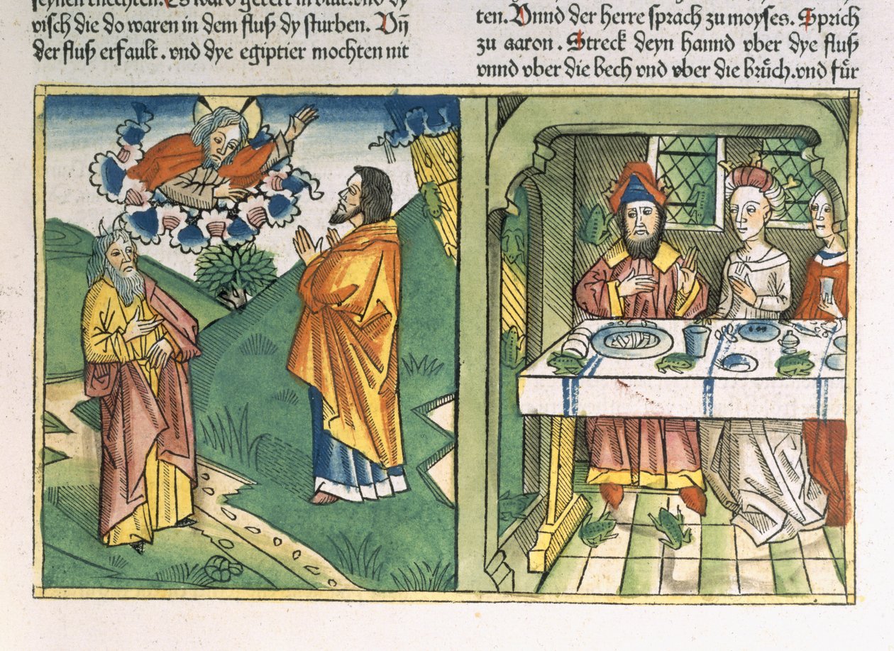 خروج 8 1-15 الضربات السبع في مصر: موسى وطاعون الضفادع ، من "الكتاب المقدس نورمبرغ (Biblia Sacra Germanaica)" (قطع خشبية ملونة) بواسطة هنري روم