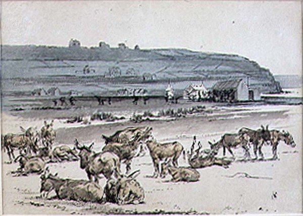 الحمير في ملعب الجولف ، رسم توضيحي من مجلة "Graphic" ، حانة. ج 1870 (ليثو) بواسطة هنري ساندركوك