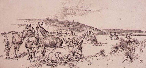 الحمير في ملعب الجولف ، رسم توضيحي من مجلة "Graphic" ، حانة. ج 1870 (ليثو) بواسطة هنري ساندركوك