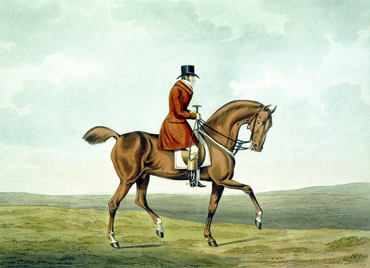 A Meltonian, As He Was, from 