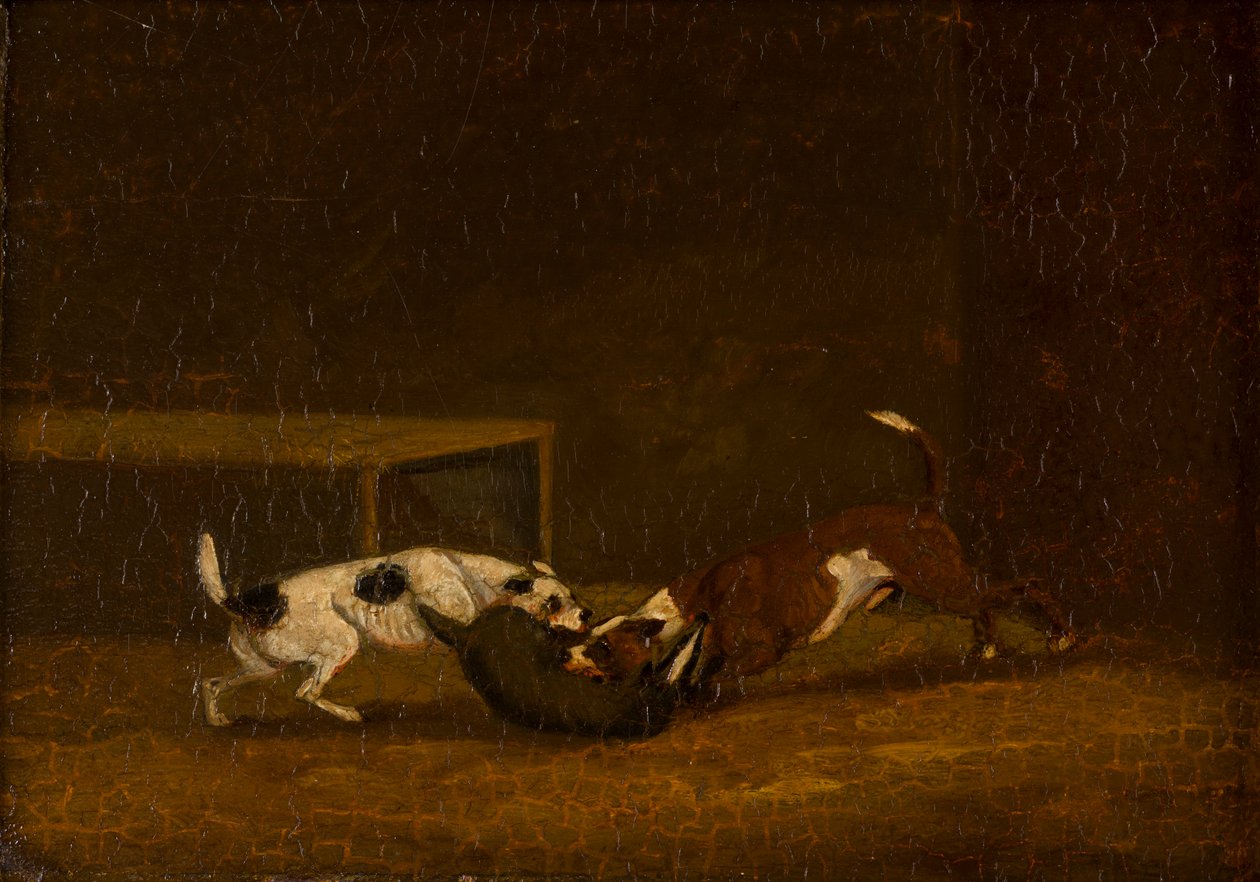 Two Terrier Badger Baiting ، c.1805-51 (زيت على لوح) بواسطة هنري توماس (من أتباع) ألكين
