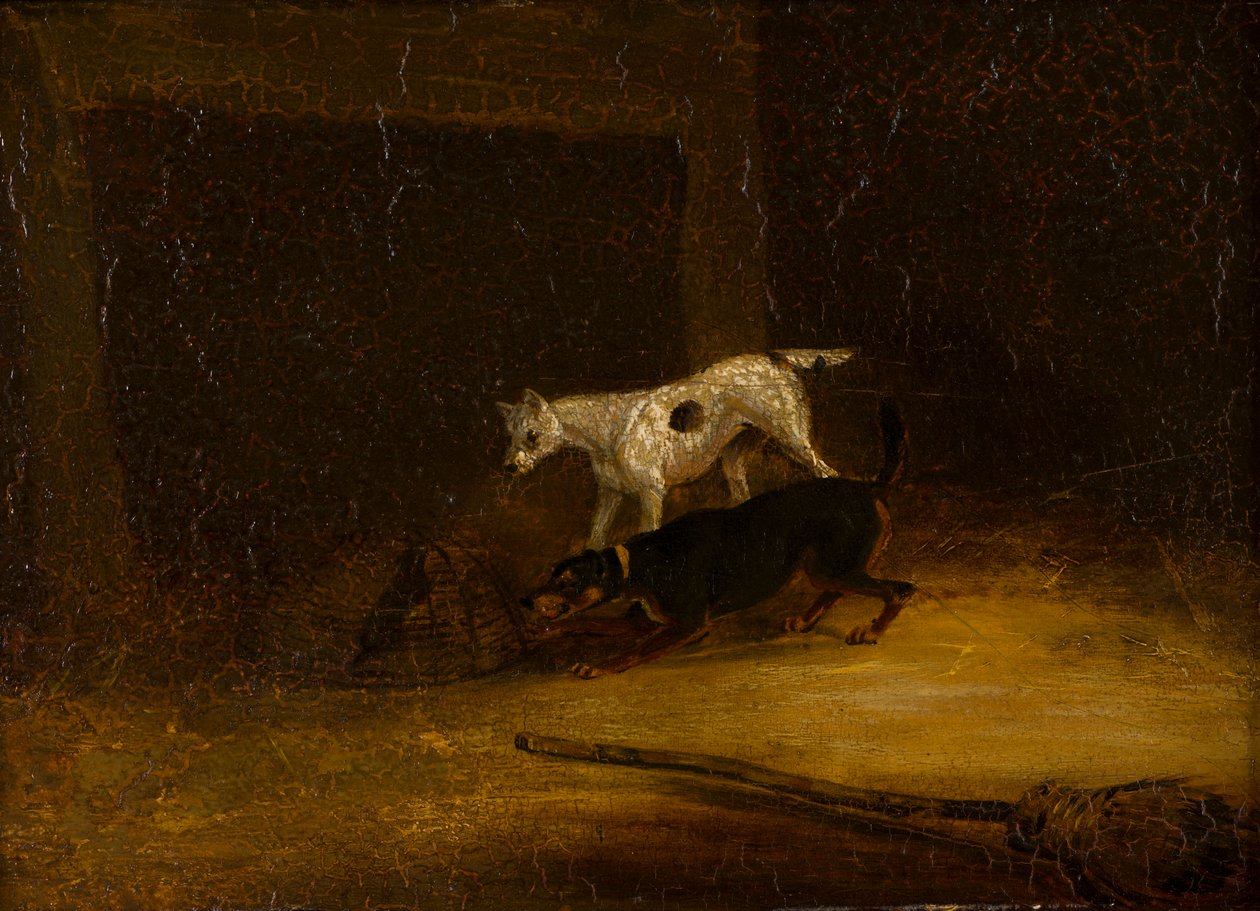 كلبان يحاولان الوصول إلى جرذ في فخ ، حوالي 1805-51 (زيت على لوح) بواسطة هنري توماس (من أتباع) ألكين