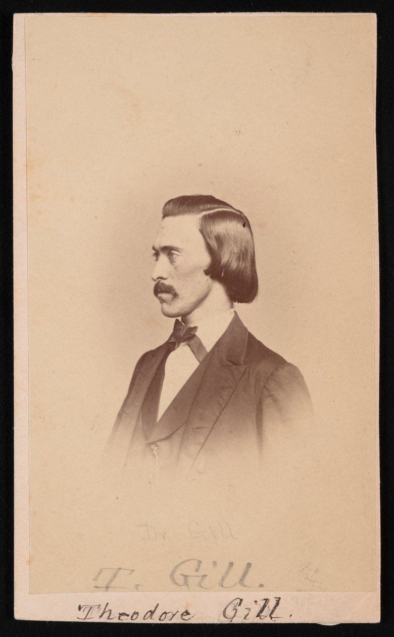 صورة لثيودور نيكولاس جيل 1837-1914 ، بين 1865 و 1870. بواسطة هنري أولك