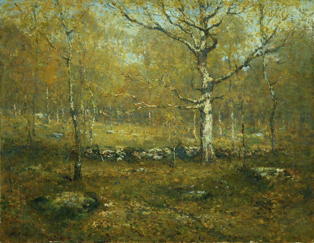 Spring Woods، ca. 1895-1900. بواسطة هنري وارد رينجر