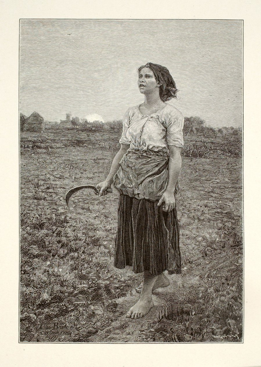  بواسطة هنري وولف