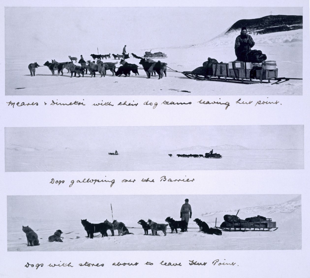 ثلاث وجهات نظر لفرق الكلاب بقيادة ميريس وديميتري في رحلة "تيرا نوفا" (1910-1913) إلى القطب الجنوبي بقيادة الكابتن سكوت بواسطة هربرت بونتينج