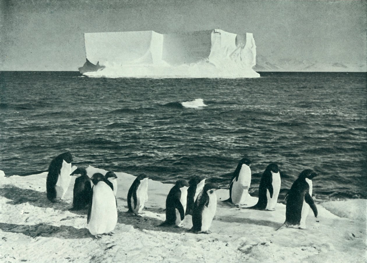 A Berg Drifting in McMurdo Sound، c19101913، 1913. بواسطة هربرت بونتينج