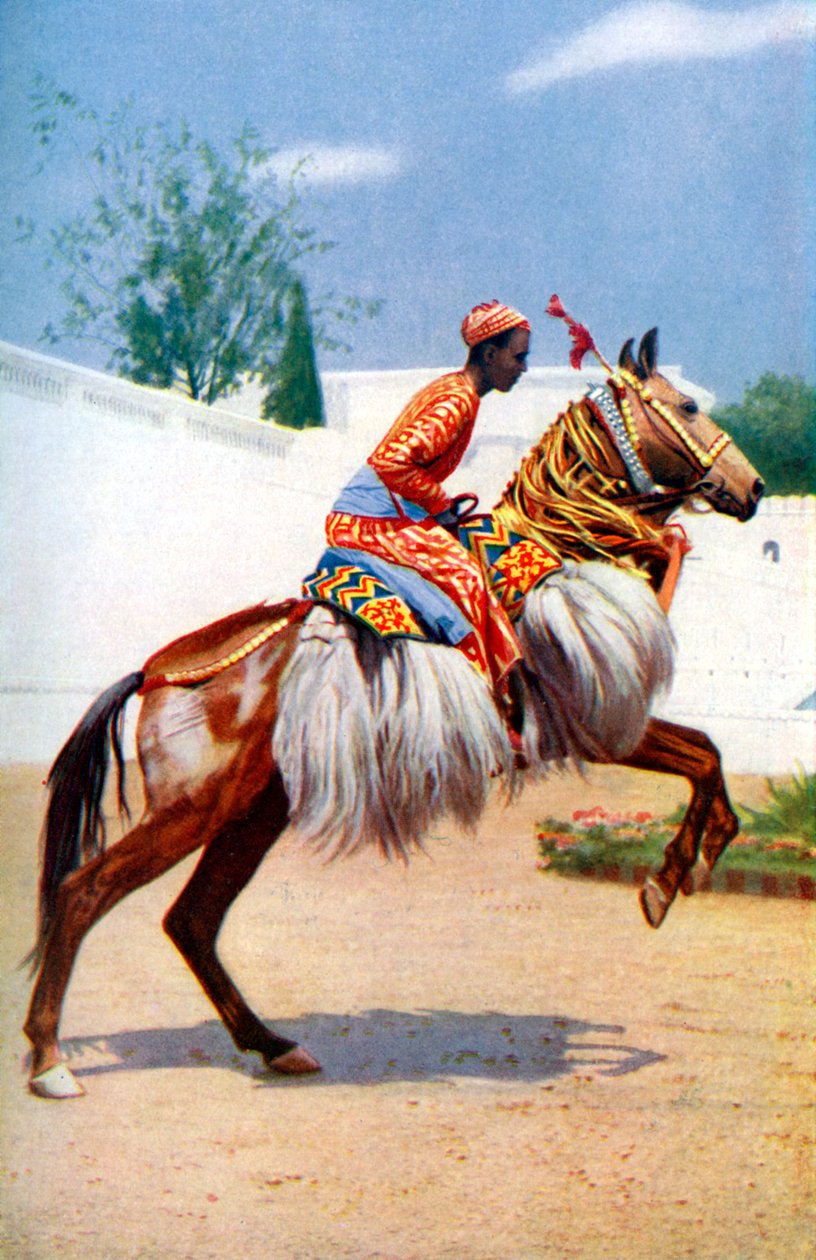 حصان عربي راقص ، أودايبور ، الهند ، 1922. بواسطة هربرت بونتينج
