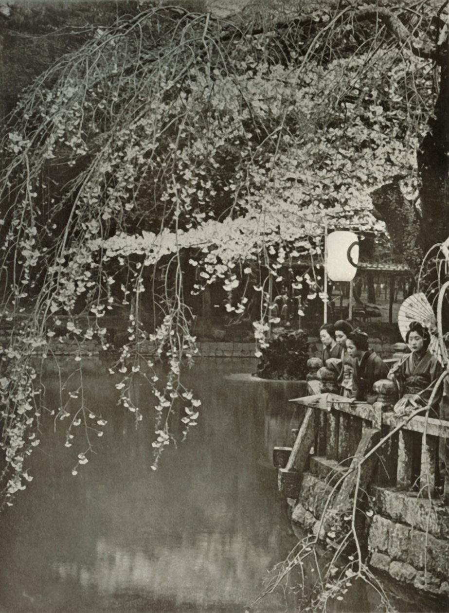 توقيت أزهار الكرز في اليابان ، 1910. بواسطة هربرت بونتينج
