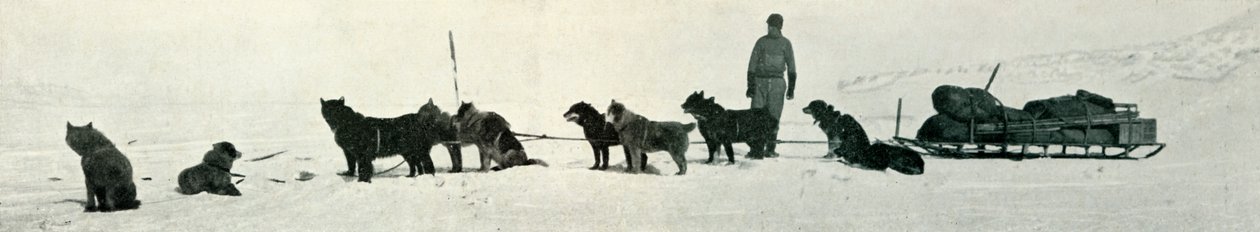 الكلاب التي لديها متاجر على وشك مغادرة Hut Point ، c1911 ، 1913 بواسطة هربرت بونتينج