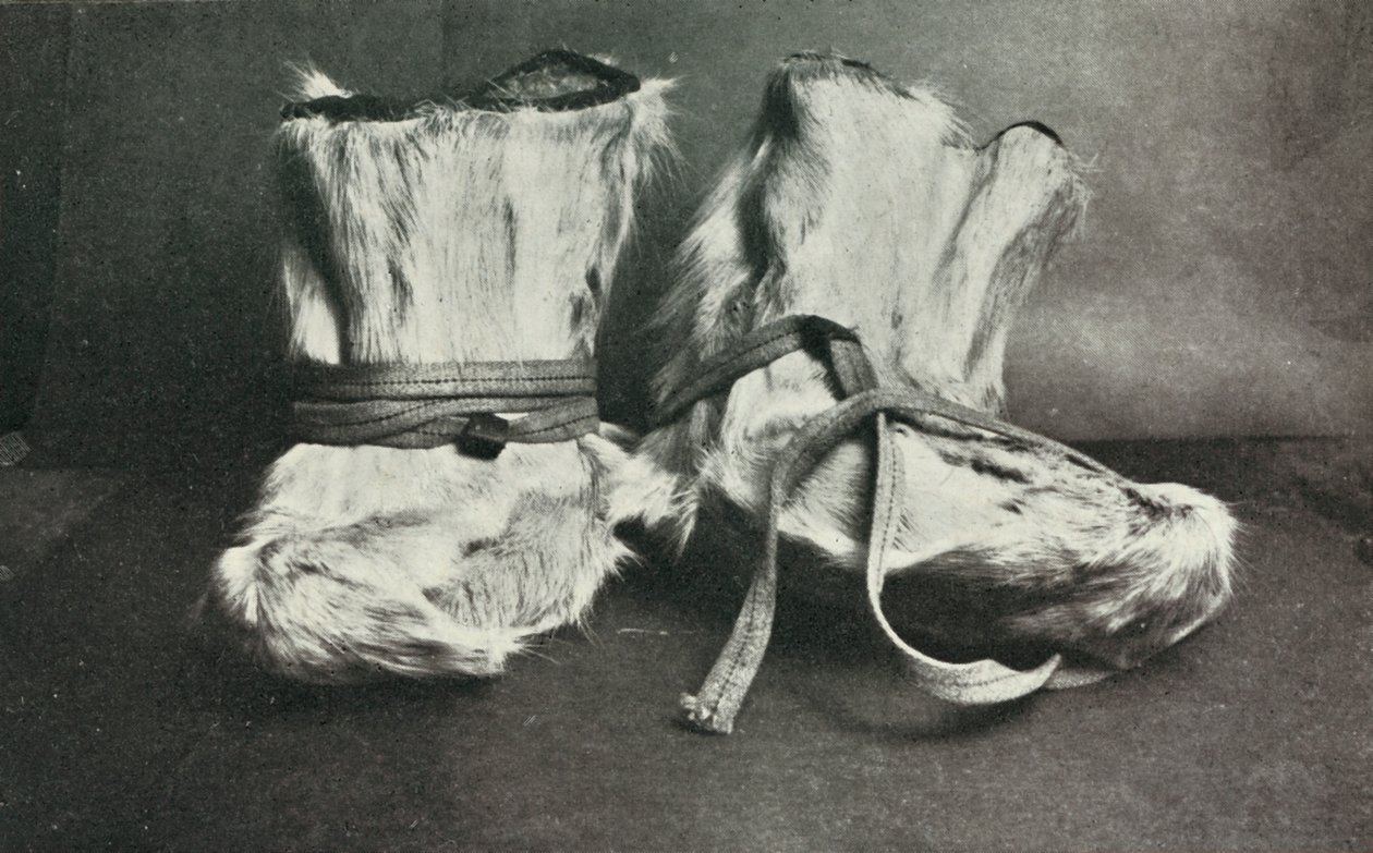 Finnesko ، c19101913 ، 1913. بواسطة هربرت بونتينج